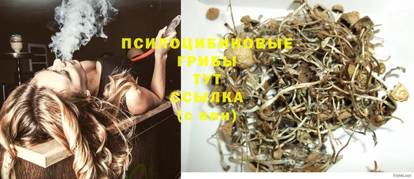 метадон Алексин